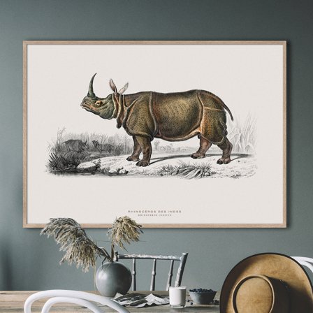 Næsehorn — Plakat med flot illustration af dyr fra Nature Remixed by Gehalt