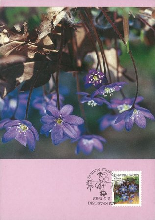 Finland 1992 - LAPE 15 - Maximumkort