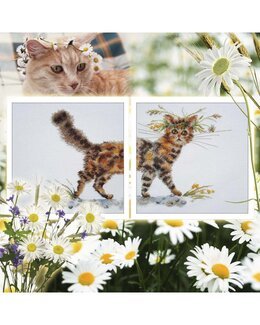 Stickpackung Katzenbild 2-er Pack - RTO