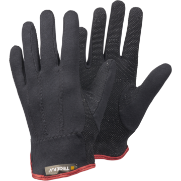 BOMULLSHANSKE TEGERA 8125