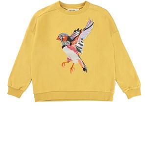 Molo Straw Field Mandy GOTS Graphic Sweatshirt 128 cm - Jumpers and knitwear - 128 cm - Yellow - Mädchen
