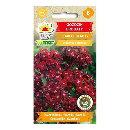 Frö till borstnejlika Scarlet Beauty – Lättodlad och doftande perenn