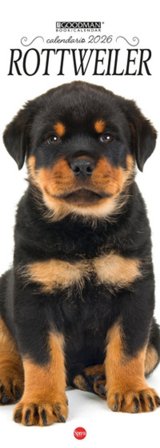 Rottweiler. Calendario 2026. Long