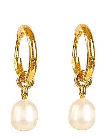 Treasure Pearl Hoops Gold Øredobber Smykker Gull Syster P