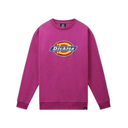 Dickies Sweatshirts & Hoodies Lilla, Herre