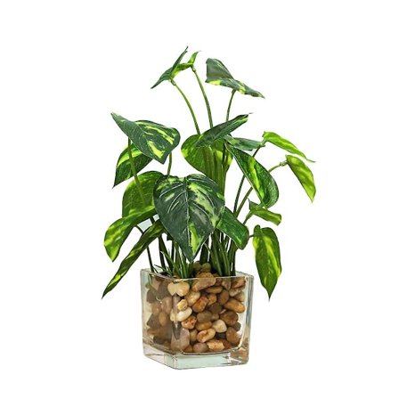 Glasflaske Firkløvers Eviggrøn Simuleret Grøn Plante Pottet Dekoration Hjem Dekoration Skrivebords Dekoration