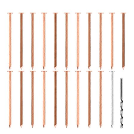 20 stk. kobbersøm til at dræbe træer, stubbe & - 3,5 tommer lange