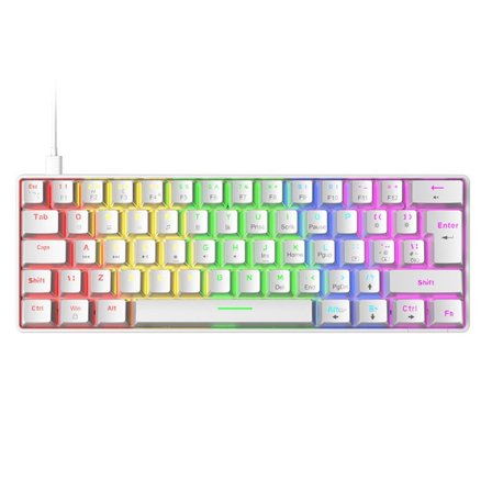 Trådlöst Mekaniskt Gamingtangentbord med 60% Kompakt Design, Programmerbar RGB-Bakgrundsbelysning 61-Tangentlayout, Double Shot Keycaps Anti-Ghosting 