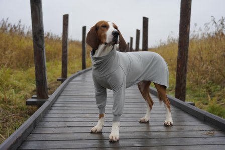 Paikka Recovery Shirt, Grå - Str 50