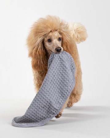 Paikka Håndkle, Grå - 30x50cm