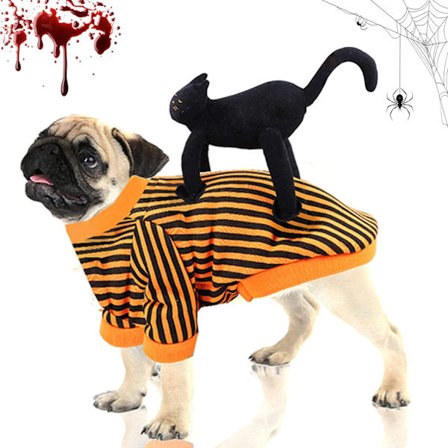 Halloween-dräkt för hund, husdjurs-halloween, katt- och hund-halloween