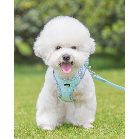 IC Hundsele för små och medelstora hundar utan drag, valpsele och set, Easy Walk hundsele för promenader, löpning (ljusblå, L)