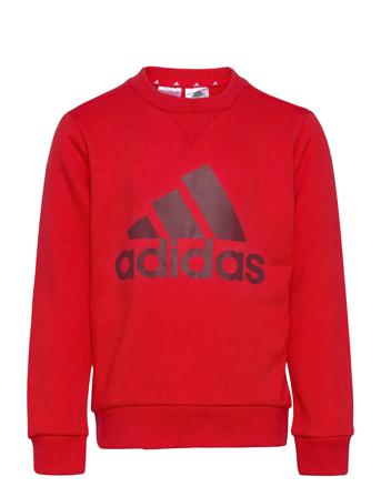 Essentials Sweatshirt Sweat-shirt Tröja Röd Adidas Performance
