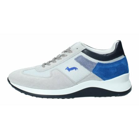 Harmont & Blaine Sneakers , Grijs , Heren , Maat: 42 EU
