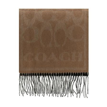 Coach, Winter Scarves Bruin, Dames, Maat:ONE Size