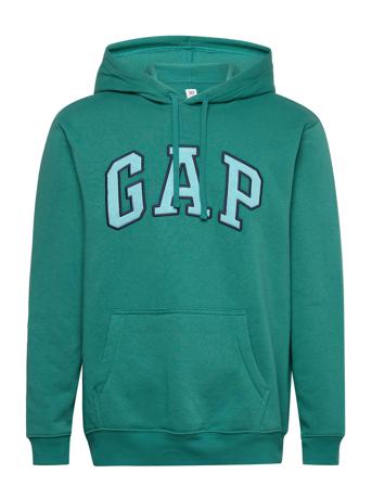V-Heritage Logo Po Snl Hoodie Grön GAP
