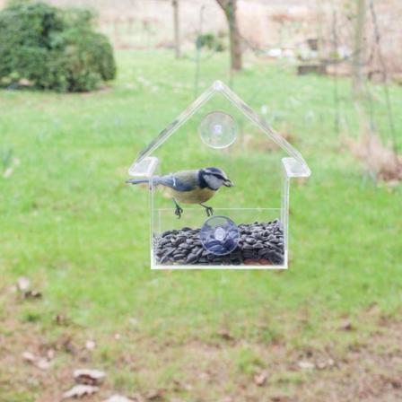 Esschert Design Fågelmatare I Akryl 15x10x15,3 Cm Fb370 Transparent