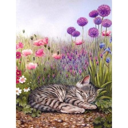 Full 5d Diy Diamond Painting Cross Stitch Cat Cartoon Rhinestone Som På Bilden 1 25x35cm