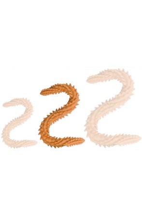 DoublePlayz Double Dildo Scolop Orange 50 cm