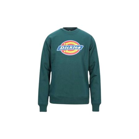 Dickies Sweatshirts & Hoodies Grøn, Herre