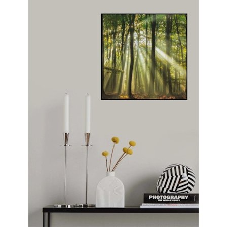 Sunny Start To The Day ........