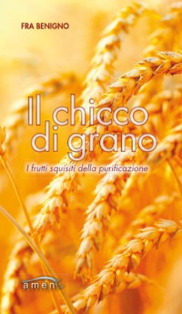 Il chicco di grano. I frutti squisiti della purificazione Benigno (Fra)