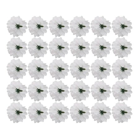 30 kpl Neilikka Askartelu Keinotekoinen Kukka Silkki Pallomaiset Päät Hääkoriste Valkoinen