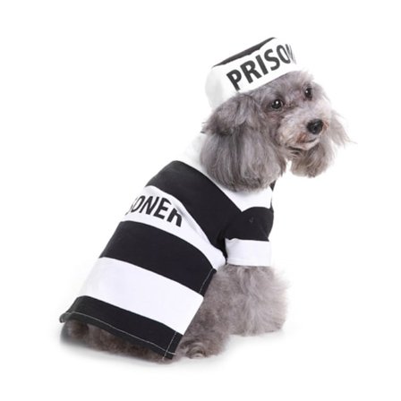 Jule- og Halloween-kostume til kæledyr med hat, trøje og overall til katte og hunde, holder varmen, til cosplay-fester