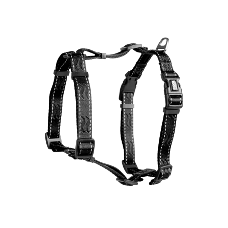 Selected by ZOO - Sele Rufus H-sele justerbar XS/S 15 mm x 50 cm Svart - Hund - Halsbånd - ZOO.no