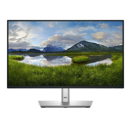 DELL P Series P2225H Computer