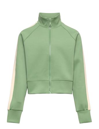 Royal Poly Sweat Sweat-shirt Tröja Grön Grunt