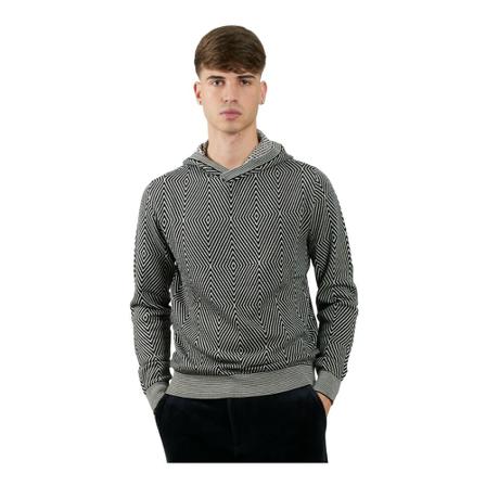 Emporio Armani Hoodies Grå, Herre