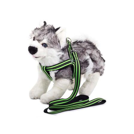 Koppel Med Sele - Reflex - 125 Cm - Strl L - Grön Grön
