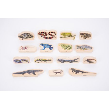 Träfigurer ormar och groddjur 15/fp - Lyreco - Skola och förskola - Lekmaterial - Lekfigurer - Djur