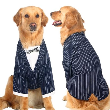 Hund Tuxedo Set Hundar Formell Tuxedo Husdjur Bröllop Festdräkt