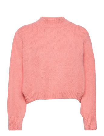 Cieli Pink Mango