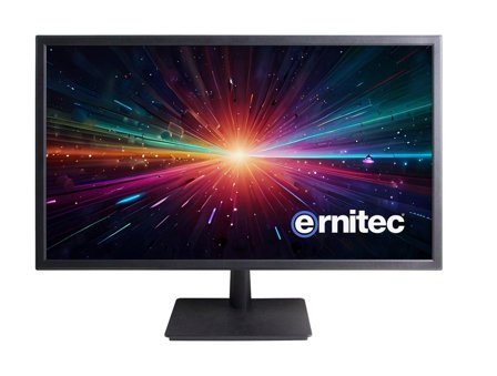ERNITEC 28" Surveillance monitor for