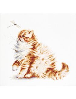 Bild Katze mit Libelle