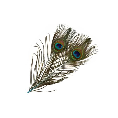 Frödin SNS Peacock Eye Feathers - Clearwater Blue