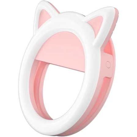 Kauneusvalo 9 säädettävällä kirkkaustasolla, 6'' kannettava klipsikiinnitteinen selfie-valo ladattava 100 LED puhelinvalo