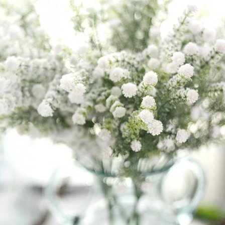 Hvite Babys Breath Kunstige Blomster Real Touch Fake Gypsophila