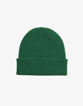 Merino Wool Beanie - Kelly Green