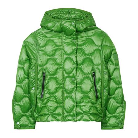 Luisa Cerano Down Jas , Groen , Dames , Maat: S