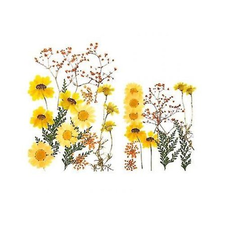 DIY Konserverede blomster dekoration (gul)