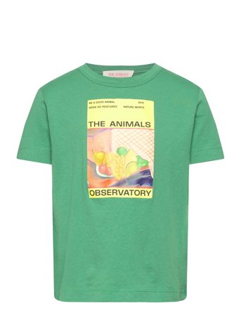 Big Rooster Kid T-Shirt Green 2Y Green THE ANIMALS OBSERVATORY