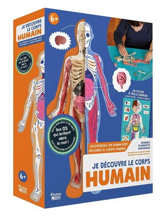 Auzou | Activity Box - Discovering The Human Body | ONE SIZE