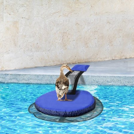 Pool Assisted Animal Escape Rescue Channel, Animal Frog Escape Ladder Chann