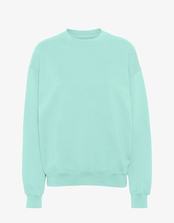 Organic Oversized Crew - Light Aqua 2XL