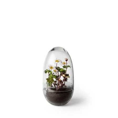 Design House Stockholm Växthus/odlingskupa Grow, Medium Dekoration Transparant
