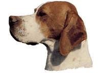 Pointer - klistremerker